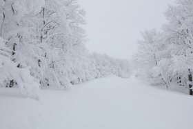 2日目も雪景色