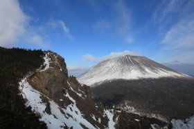 赤ゾレの頭