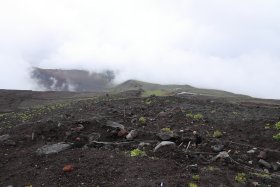 登山道