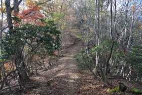 紅葉の登山道