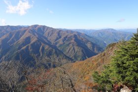 青空と紅葉