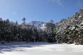 しらびそ小屋