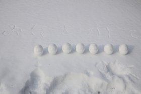 雪ダルマ