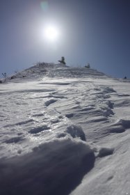 雪面