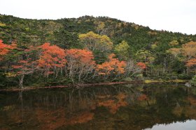 七ツ池の紅葉