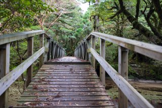 淀川の橋