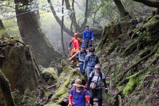 並んで下山