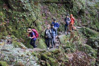 分岐までは登山道