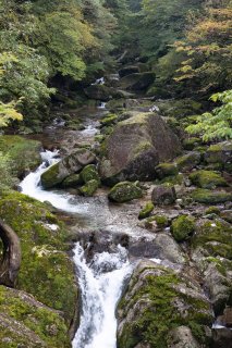 苔むした岩と河