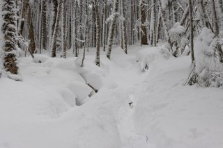 一面の雪