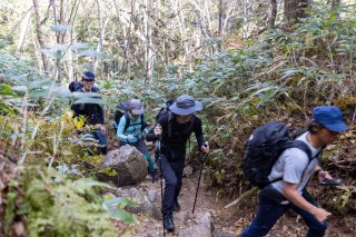 もくもくと登山