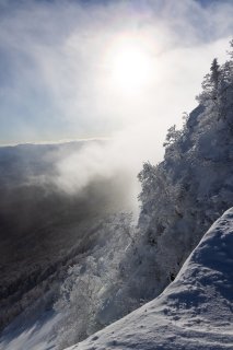 輝く粉雪