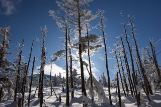 青空と太陽と白い雪