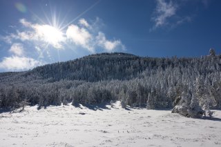 縞枯山