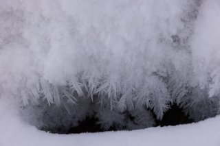 雪の結晶