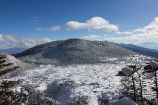 北横岳への斜面から見た縞枯山