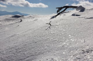 雪片