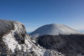 赤ゾレの頭