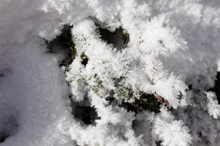 雪の結晶