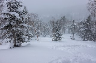 雪の降る登山道