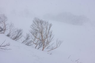 雪崩ポイント