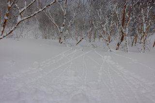 斜面を転がる雪玉