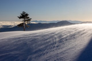 雪面