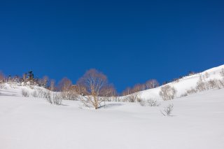 雪と青空