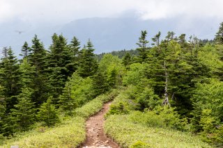 四阿山の山頂へ続く道