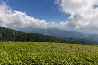 蓼科山