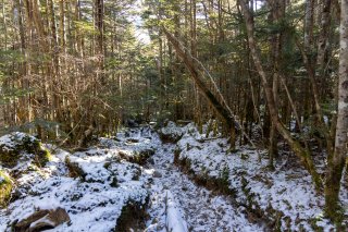 登山道の積雪