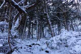 登山道の積雪