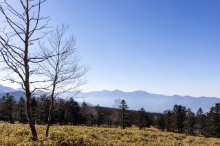 雪がありません