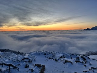 一面の雲海