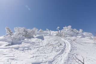 稜線の登山道