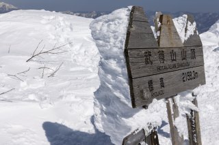 標識に着いた雪