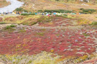 雷鳥沢キャンプ場