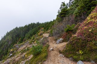 登山道