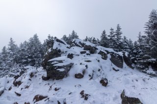 うっすら積もった雪