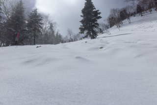 積雪のあと