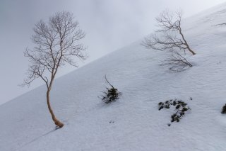 雪の斜面