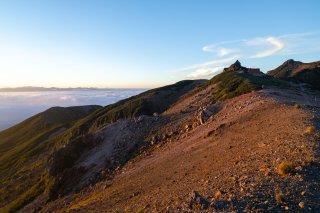 モルゲンロート