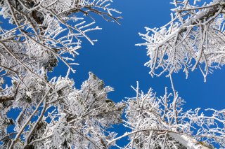 青空と樹氷