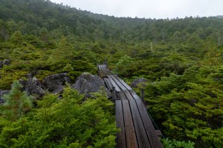 白駒の奥庭