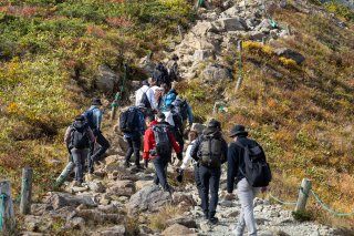 整備された登山道